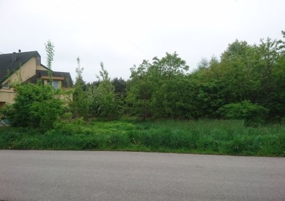 działka na sprzedaż - Lutomiersk, Mirosławice