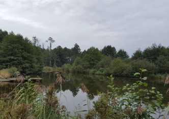 dom na sprzedaż - Zgierz (gw), Biała