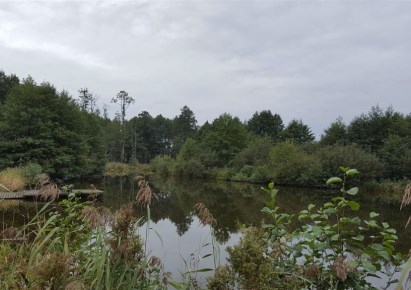 dom na sprzedaż - Zgierz (gw), Biała