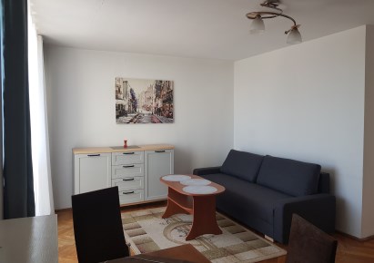 mieszkanie na wynajem - Łódź, Śródmieście, Deptak