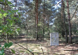 działka na sprzedaż - Zgierz (gw), Dzierżązna