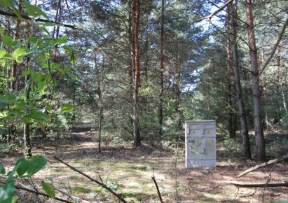 działka na sprzedaż - Zgierz (gw), Dzierżązna