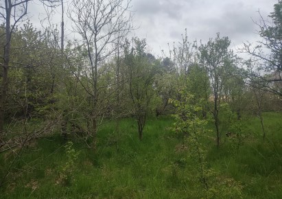 działka na sprzedaż - Tuszyn (gw), Górki Duże, Zielonka