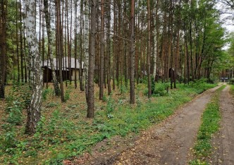 działka na sprzedaż - Ozorków (gw), Sokolniki-Las