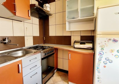 mieszkanie na wynajem - Bełchatów