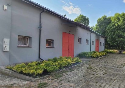 hala na sprzedaż - Stryków (gw), Dobra