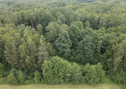 działka na sprzedaż - Sławno, Prymusowa Wola
