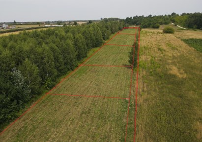 działka na sprzedaż - Nowe Miasto nad Pilicą, Pobiedna