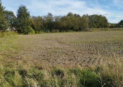 działka na sprzedaż - Aleksandrów Łódzki (gw), Rąbień