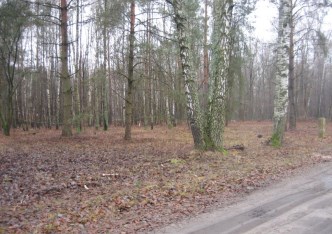 działka na sprzedaż - Aleksandrów Łódzki, obok Rezerwatu Przyrody