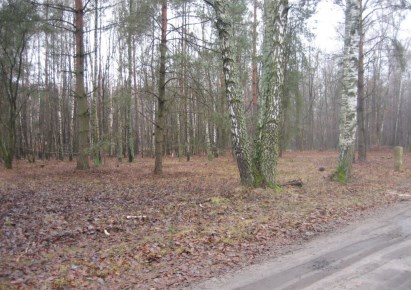 działka na sprzedaż - Aleksandrów Łódzki, obok Rezerwatu Przyrody