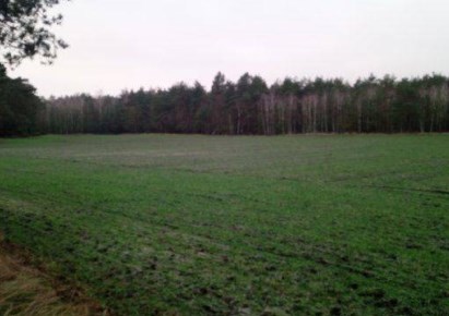 działka na sprzedaż - Przykona, Paulinów