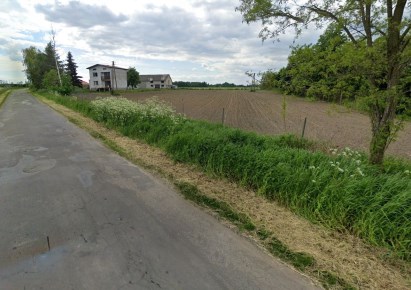 dom na sprzedaż - Bielawy, Borów