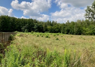 działka na sprzedaż - Aleksandrów Łódzki, Franin