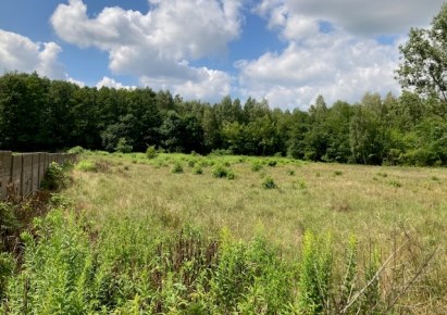 działka na sprzedaż - Aleksandrów Łódzki, Franin