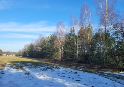 działka na sprzedaż - Bełchatów (gw)