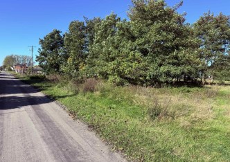 działka na sprzedaż - Parzęczew, Mrożewice