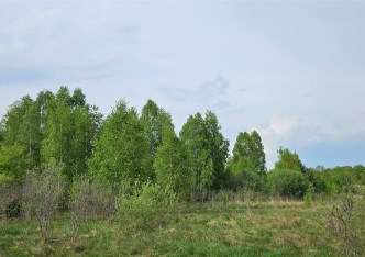 działka na sprzedaż - Szczerców, Podklucze