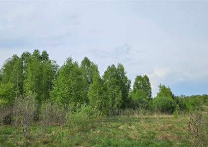 działka na sprzedaż - Szczerców, Podklucze
