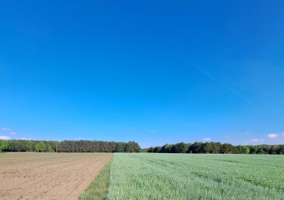 działka na sprzedaż - Łask (gw), Rembów