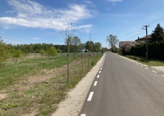 działka na sprzedaż - Parzęczew, Mariampol, Sokola Góra