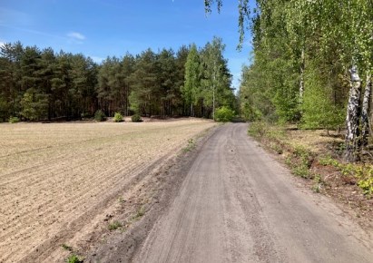 działka na sprzedaż - Aleksandrów Łódzki (gw), Nakielnica