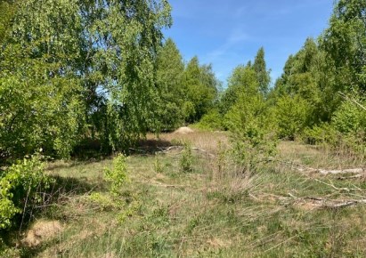działka na sprzedaż - Aleksandrów Łódzki (gw), Księstwo