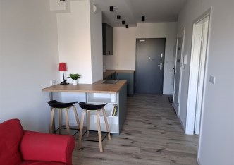 mieszkanie na wynajem - Łódź, Polesie, Srebrzyńska