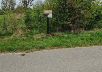 działka na sprzedaż - Żarnów