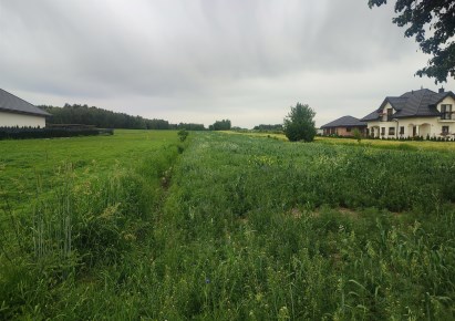 działka na sprzedaż - Brzeziny (gw), Dąbrówka Mała