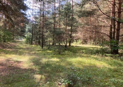 działka na sprzedaż - Aleksandrów Łódzki (gw), Słowak