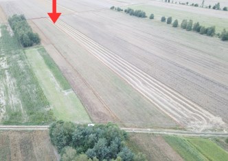 działka na sprzedaż - Białaczów