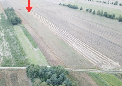 działka na sprzedaż - Białaczów