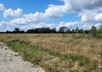 działka na sprzedaż - Bełchatów