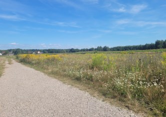 działka na sprzedaż - Bełchatów