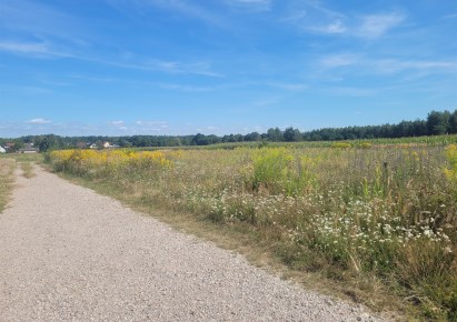 działka na sprzedaż - Bełchatów