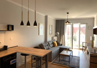 mieszkanie na wynajem - Łódź, Śródmieście, Manhattan, Targowa