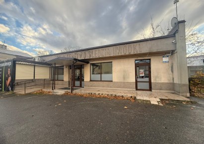 lokal na wynajem - OPOCZNO