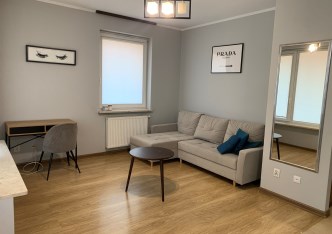 mieszkanie na wynajem - Łódź, Polesie, Ptasia