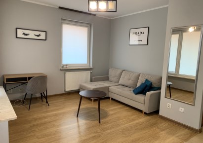 mieszkanie na wynajem - Łódź, Polesie, Ptasia