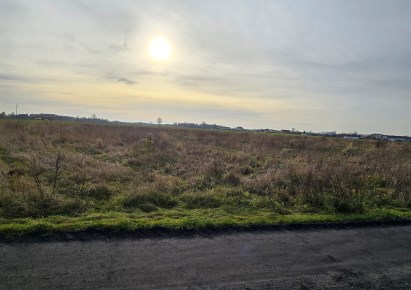 działka na sprzedaż - Zduńska Wola (gw), Wojsławice