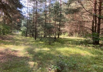 działka na sprzedaż - Aleksandrów Łódzki (gw), Słowak