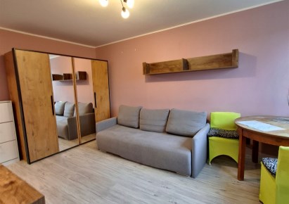 mieszkanie na sprzedaż - Łódź, Górna, Dąbrowa