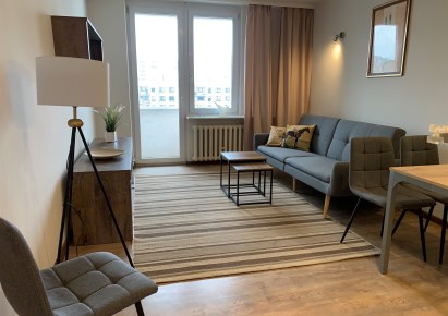 mieszkanie na wynajem - Łódź, Śródmieście, Manhattan