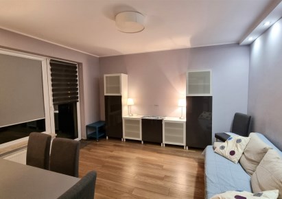 mieszkanie na wynajem - Łódź, Śródmieście, ul. Rewolicji 10905 r