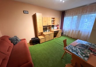 mieszkanie na wynajem - Łódź, Polesie, Koziny, Okrzei