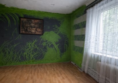 dom na sprzedaż - Bełchatów