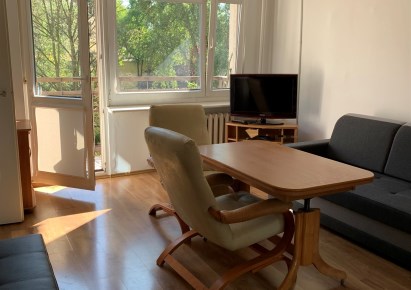 mieszkanie na wynajem - Łódź, Śródmieście, Manhattan