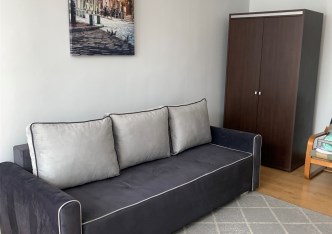 mieszkanie na wynajem - Łódź, Śródmieście, Deptak, Piotrkowska