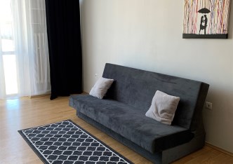 mieszkanie na wynajem - Łódź, Śródmieście, Deptak, Piotrkowska